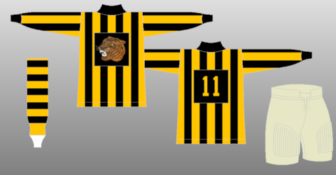 hamilton tigers nhl jersey