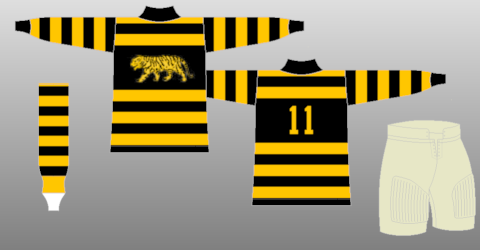 hamilton tigers nhl jersey